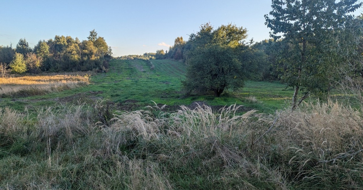 Działka na sprzedaż - Widok 2