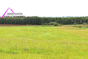 Działki rolne blisko lasu na Mazurach, 10 ha.