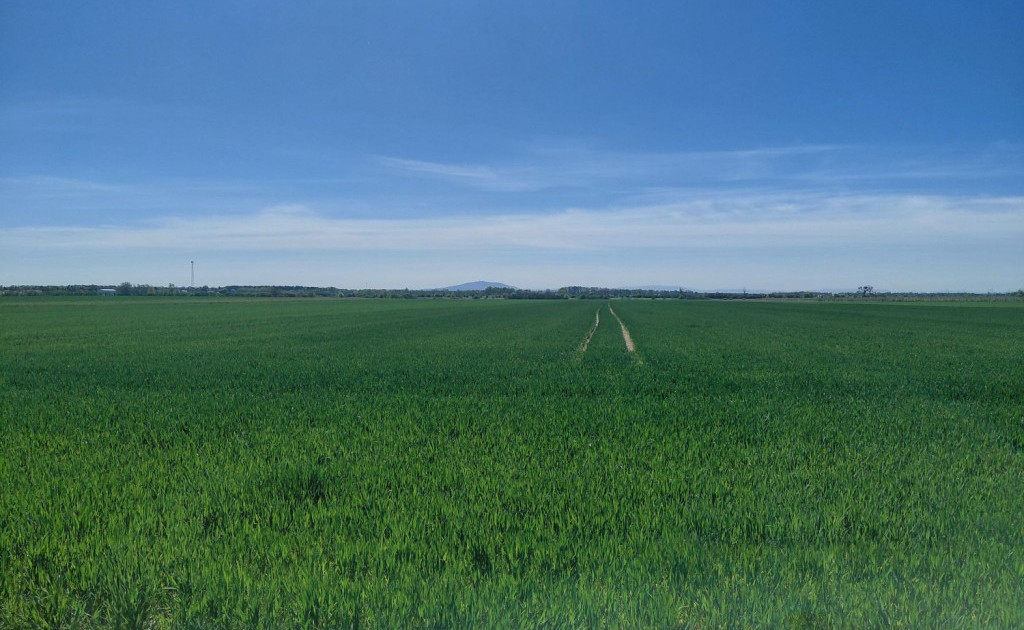 Działka na sprzedaż - Widok 2