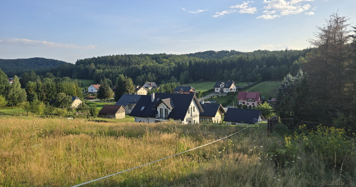 Dom – Brzozów - Widok 2