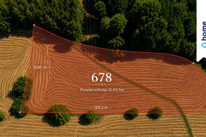 Działka 4300 m² w Babicy | Blisko Rzeszowa