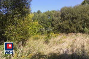 Działka na sprzedaż, 15740 m², Wręczyca Wielka Szarlejka