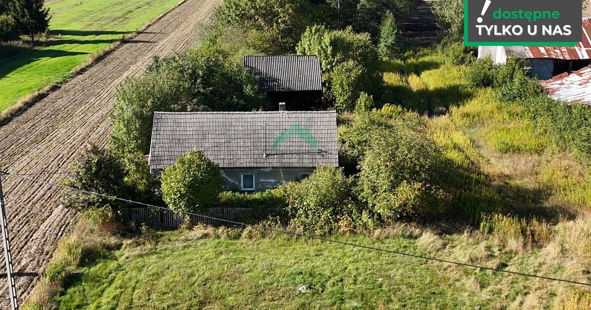 Dom – Lipie - Widok 2