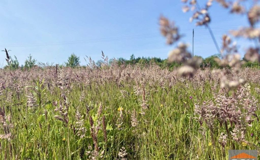 Działka na sprzedaż - Widok 2