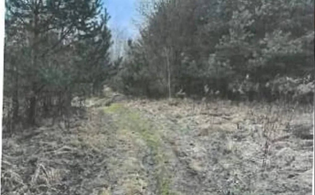 Działka na sprzedaż - Widok 2