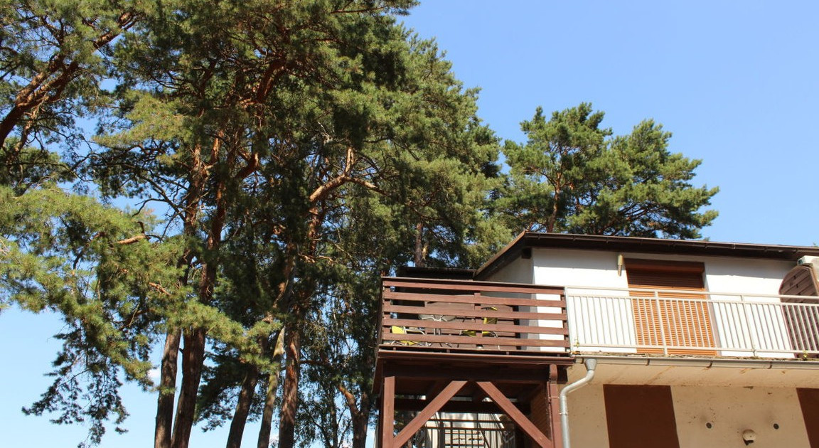 Mieszkanie – Kuźnica Głogowska, powiat wschowski - Widok 2