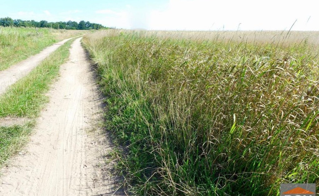 Działka na sprzedaż - Widok 2