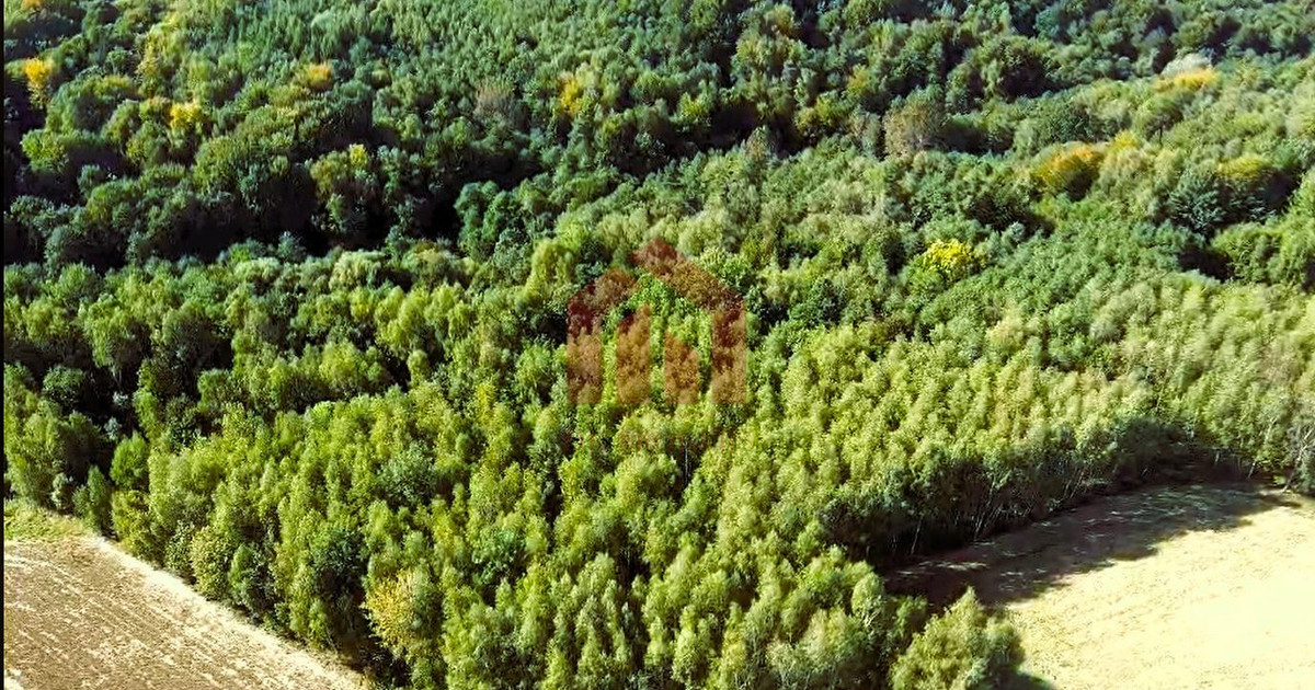 Działka na sprzedaż - Widok 2