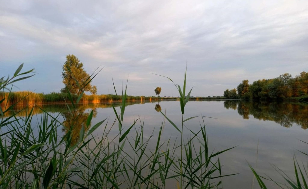 Działka na sprzedaż - Widok 2