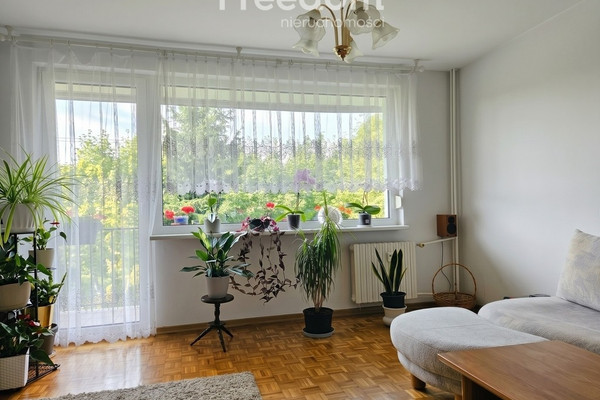 1-soban stan, 50 m²