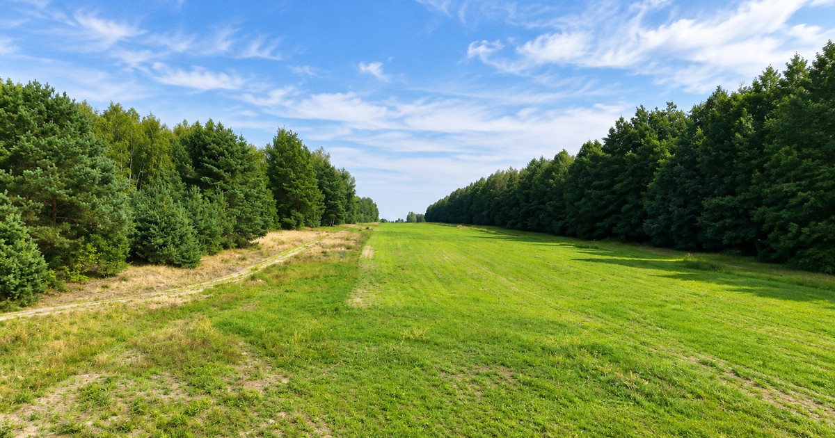 Działka na sprzedaż - Widok 2