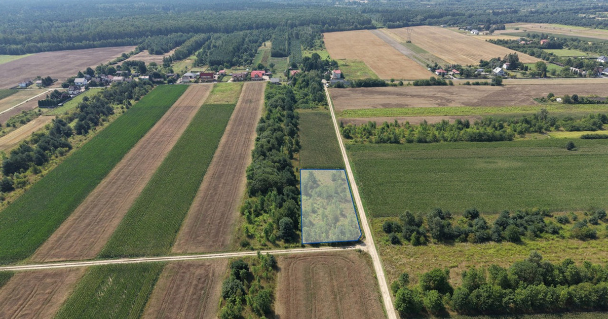 Działka na sprzedaż - Widok 2