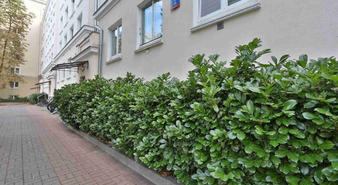 Mieszkanie – Śródmieście - Widok 2