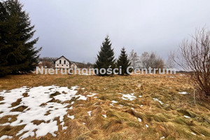 Działka na sprzedaż, 4000 m², Czarny Bór Borówno