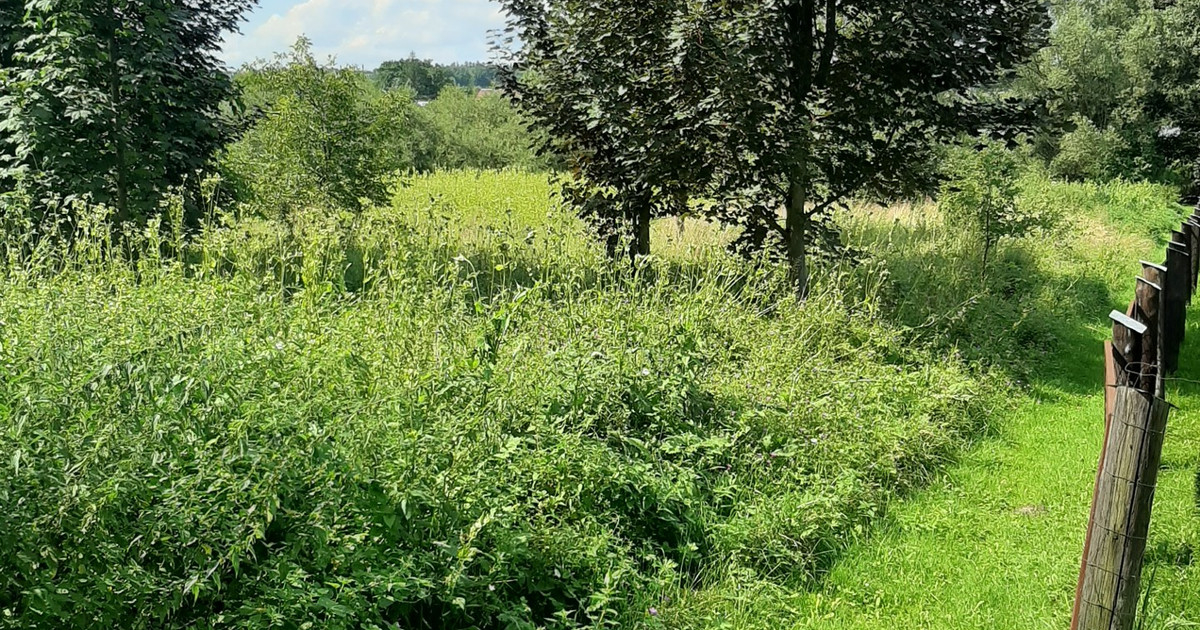 Działka na sprzedaż - Widok 2