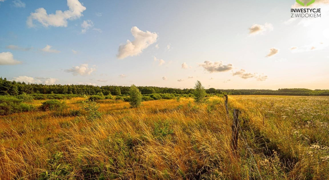 Działka na sprzedaż - Widok 2