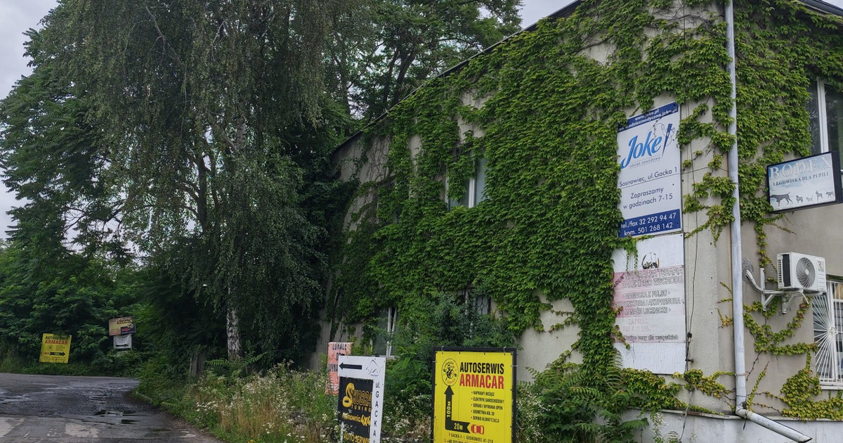 Lokal handlowy, usługowy na sprzedaż - Widok 2