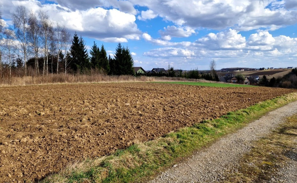 Działka na sprzedaż - Widok 2