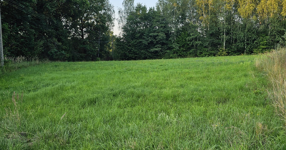 Działka na sprzedaż - Widok 2