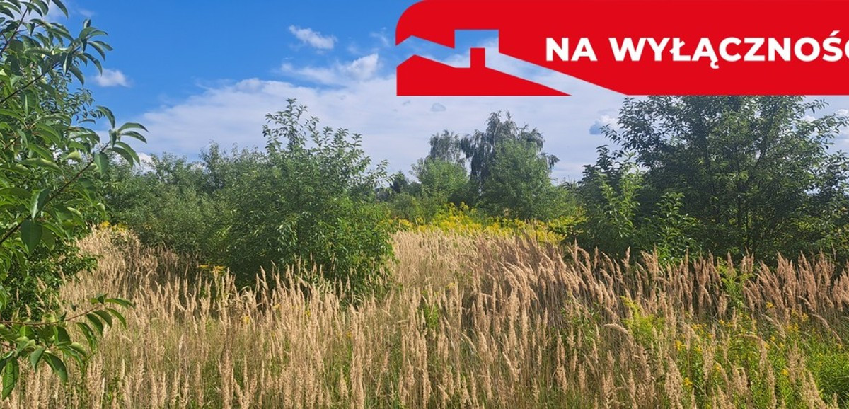 Działka na sprzedaż - Widok 2