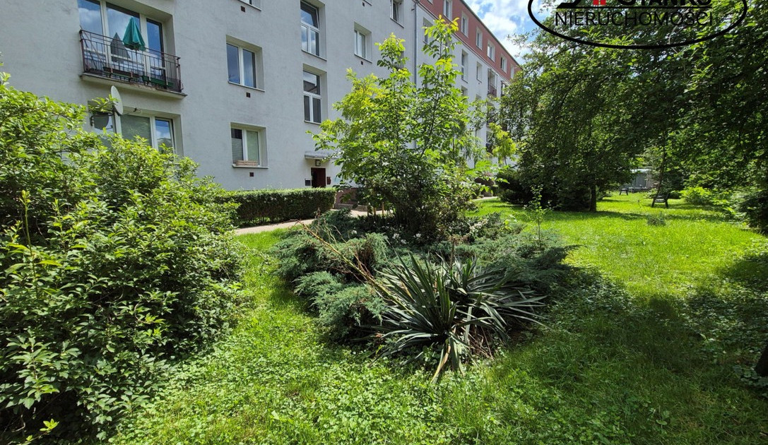 Apartment in Warszawa, Saska Kępa, Praga-Południe - Widok 2
