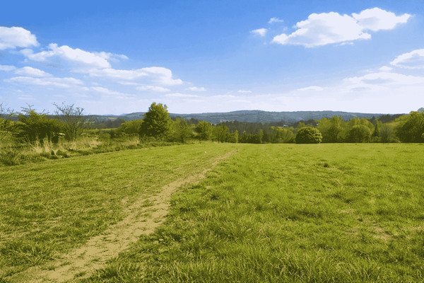 Grundstück, 11600 m²