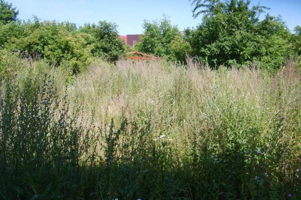 Terrain, 882 m²