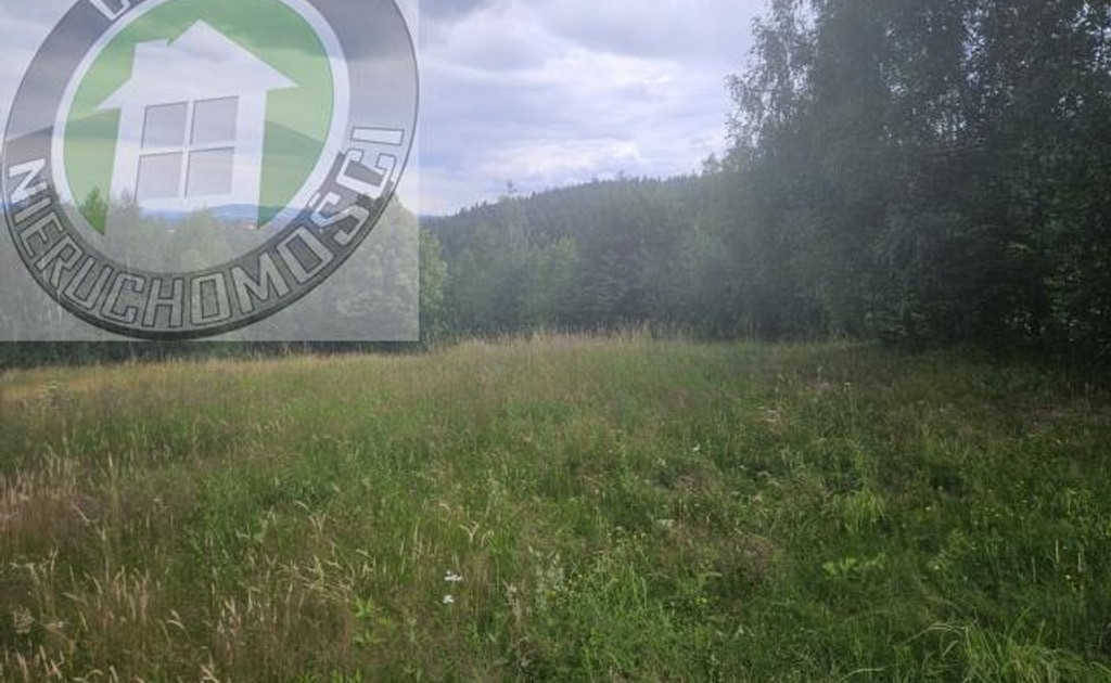 Działka na sprzedaż - Widok 2