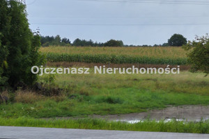Działka na sprzedaż, 3002 m², Sicienko Kruszyn