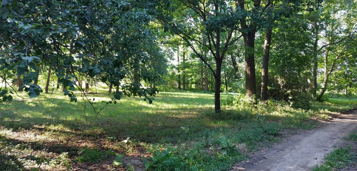 Działka na sprzedaż - Widok 2