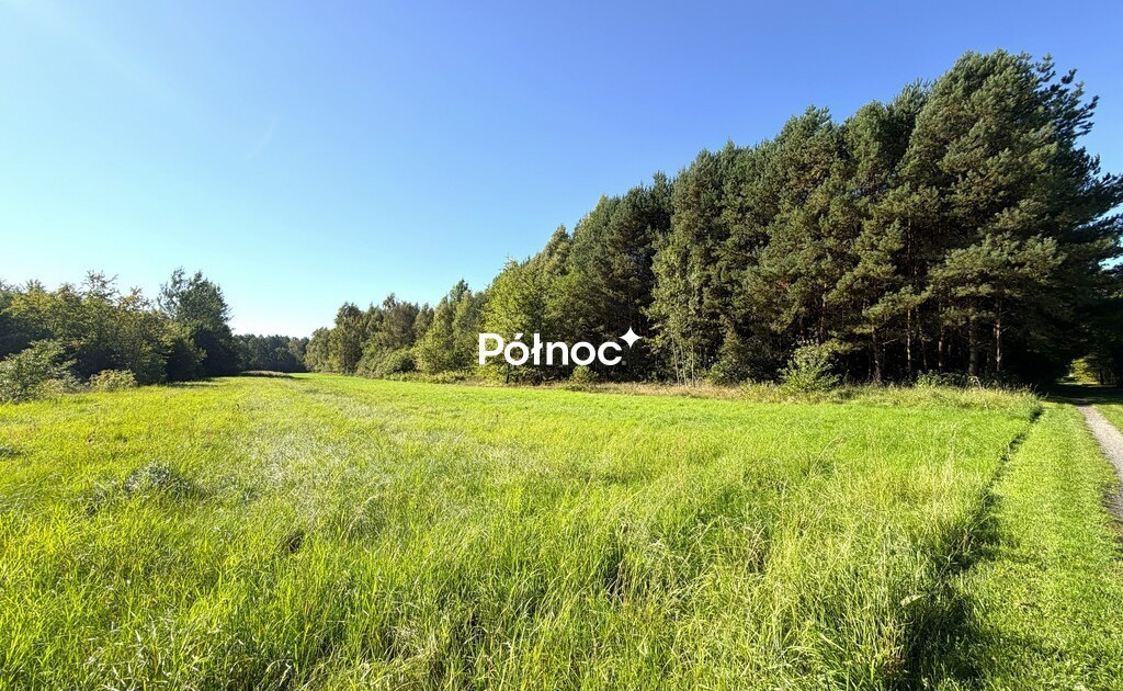 Działka na sprzedaż - Widok 2