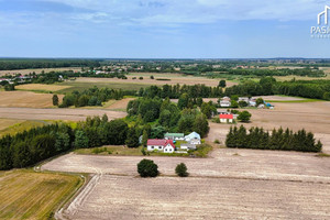 Urokliwe siedlisko w Białce Kolonii gm. Milejów