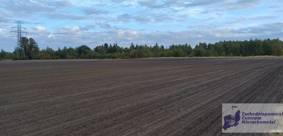 Działka na sprzedaż - Widok 2