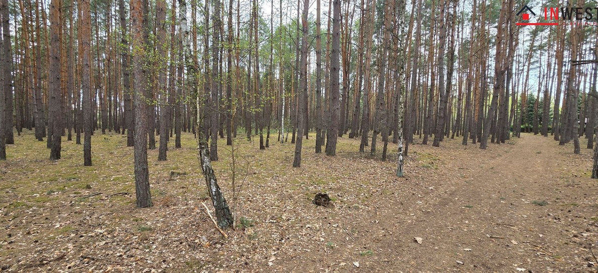Działka na sprzedaż - Widok 2