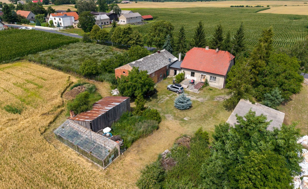 Dom – Gołańcz - Widok 2
