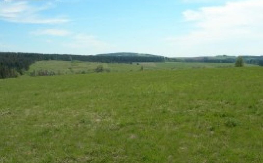 Działka na sprzedaż - Widok 2