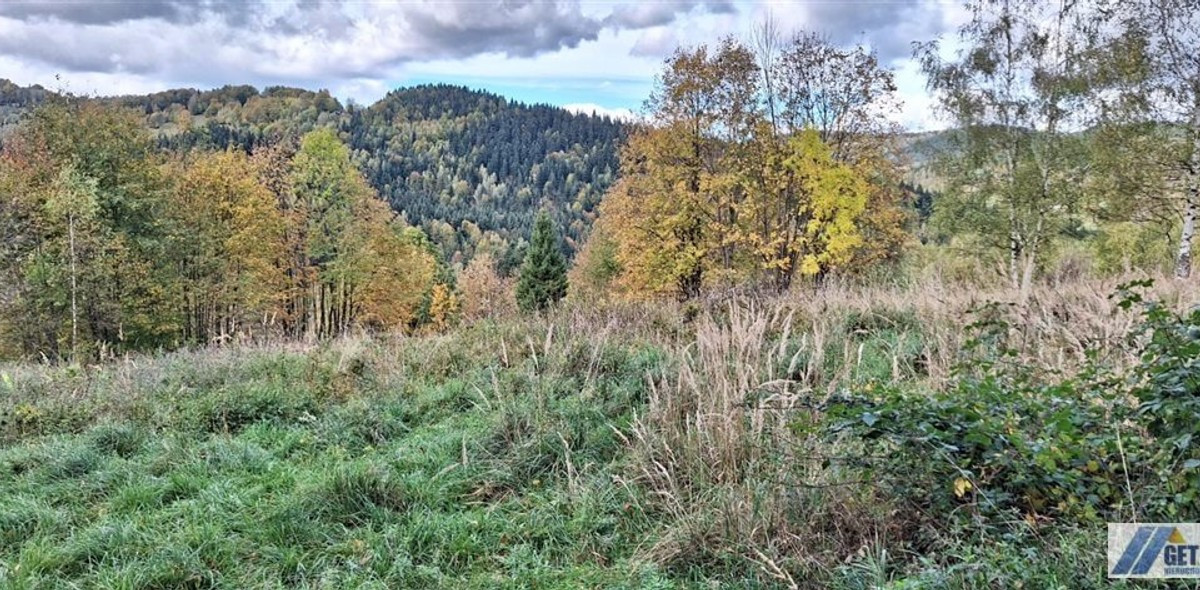 Działka na sprzedaż - Widok 2