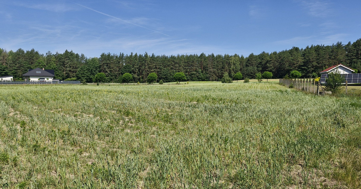 Działka na sprzedaż - Widok 2