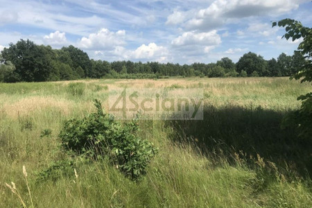 Działka na sprzedaż, 22600 m², Dąbrówka Józefów 22 600 m² 3 051 000 zł Józefów, Dąbrówka, wołomiński, mazowieckie - Widok 2