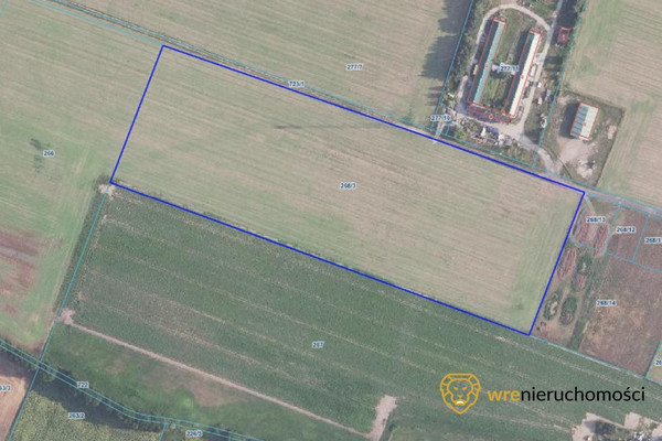 Tomt, 40000 m²