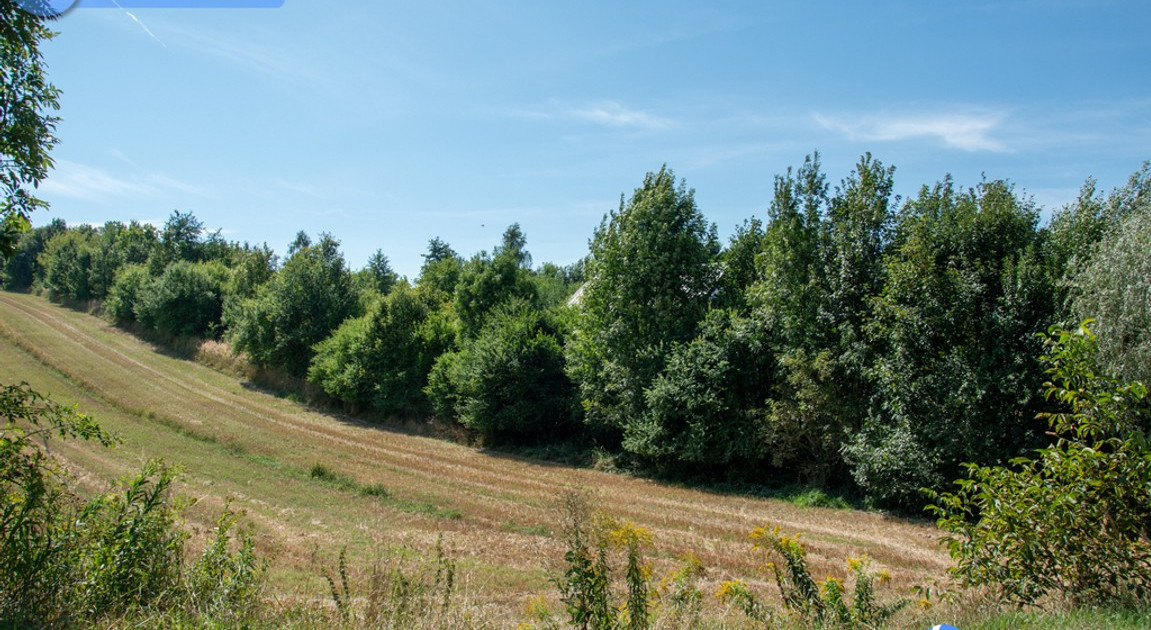 Działka na sprzedaż - Widok 2