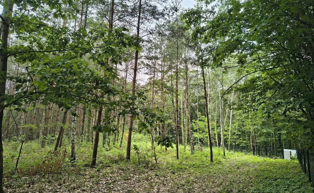 Działka na sprzedaż - Widok 2