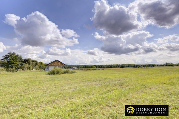 Tontti, 12000 m²