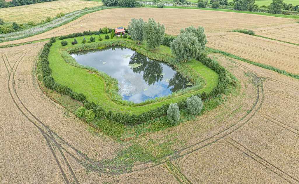 Dom – Stegna - Widok 2