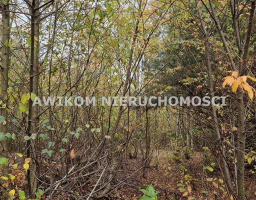 Działka na sprzedaż, 1369 m², Jaktorów Jaktorów