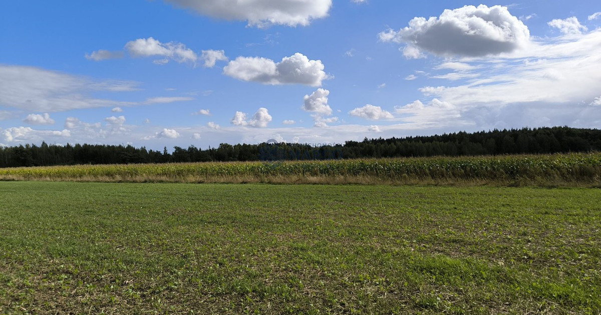 Działka na sprzedaż - Widok 2