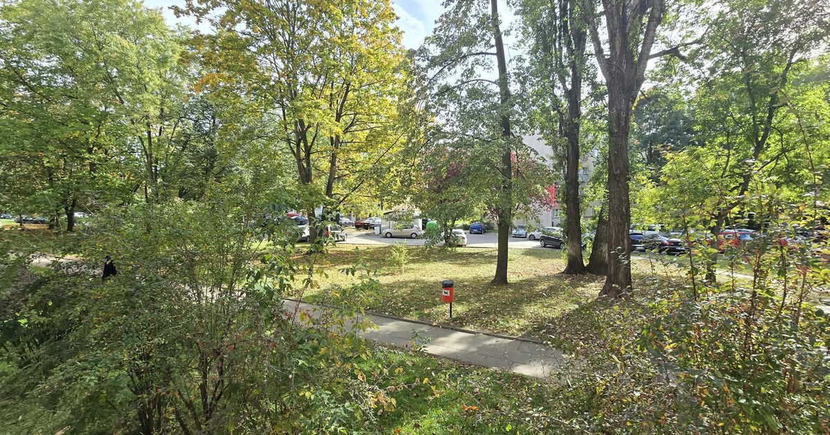 Mieszkanie – Łódź, Teofilów-Wielkopolska, Bałuty - Widok 2