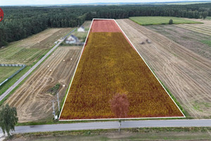 Działka na sprzedaż, 26636 m², Kaczory Kaczory