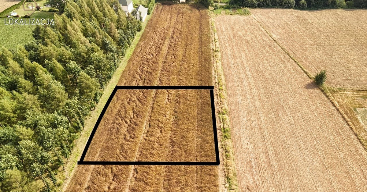 Działka na sprzedaż - Widok 2