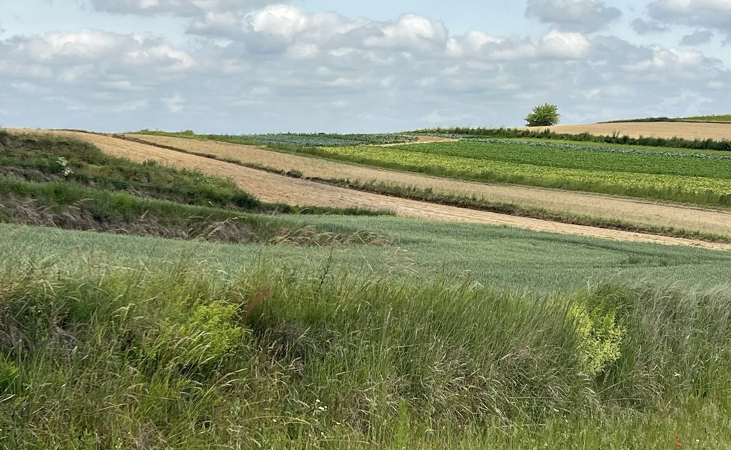 Działka na sprzedaż - Widok 2